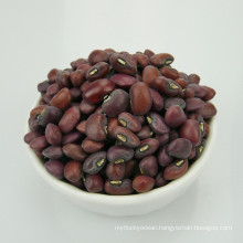 Chinese Red Cowpea for nice price hot sale red cowpea